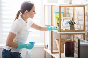 Cleaner Cleaning Shelf - Cleanhome East Cambridge